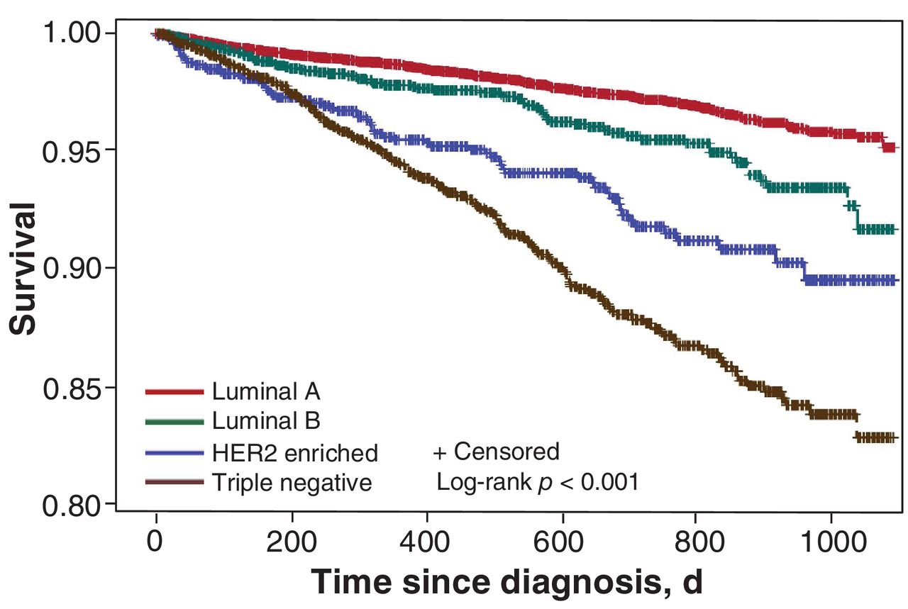 Breast Cancer Survival By Molecular Subtype A Population Based Analysis Of Cancer Registry Data